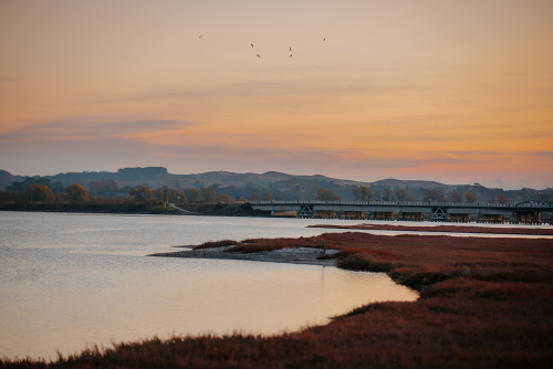 Trade Waste and Wastewater Bylaws Consultation