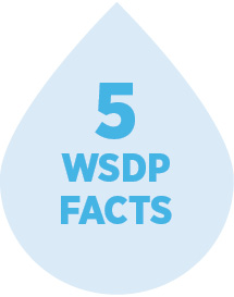  LWDW - WSDP five facts