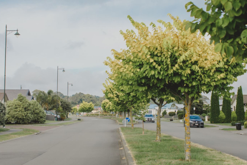 A new approach to managing Council's investments