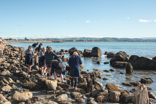 Future of National Aquarium of New Zealand