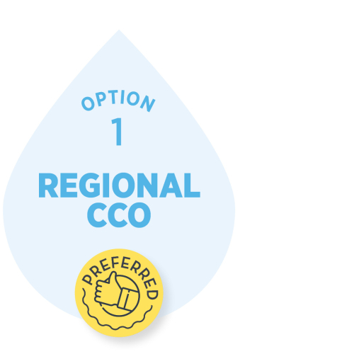 Regional Water Organisation
