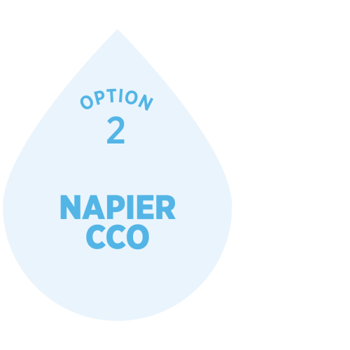 Napier Water Organisation