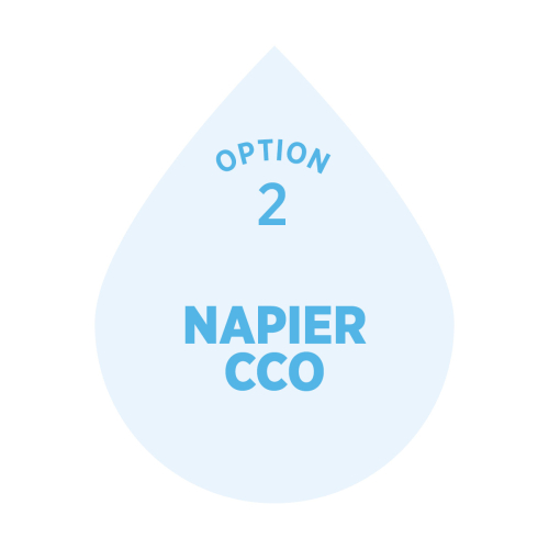 Option 2 Graphic