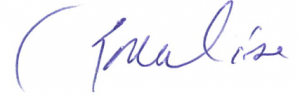 Mayor sig